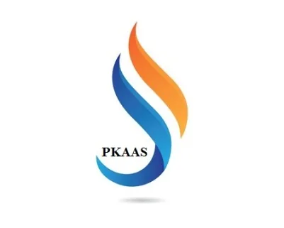 PKAAS Enterprise logo